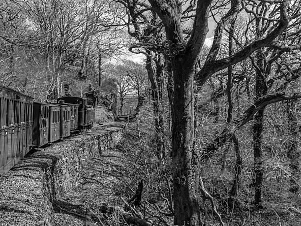 chemin de fer de ffestiniog-taliesin iii (monochrome) - ffestiniog railway photos et images de collection
