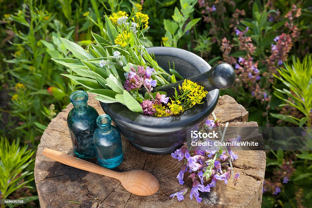 Mortar with healing herbs and sage, bottles of essential oil Mortar with healing herbs and sage, bottles of essential oil in garden. Herbal medicine. 2015 Stock Photo