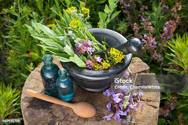 Mortar With Healing Herbs And Sage Bottles Of Essential Oil Stock Photo - Download Image Now