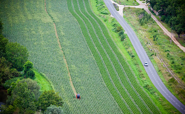 istock Green cultivated field, top view 469936704