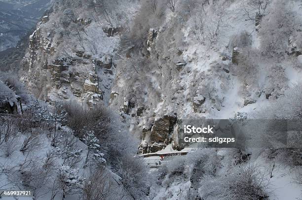 Taishan Im Schnee Stockfoto und mehr Bilder von Asien - Asien, Ast - Pflanzenbestandteil, Baum