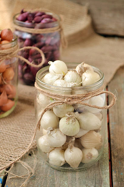 istock onion Seedling different colors in glass jars 469941402