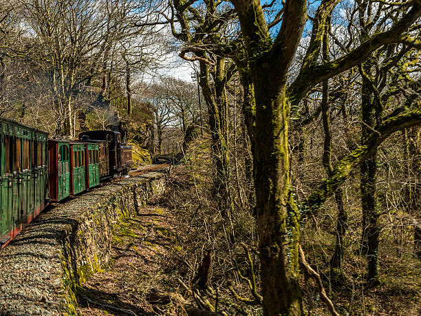 ferrocarril de ffestiniog-taliesin iii - ffestiniog railway fotografías e imágenes de stock