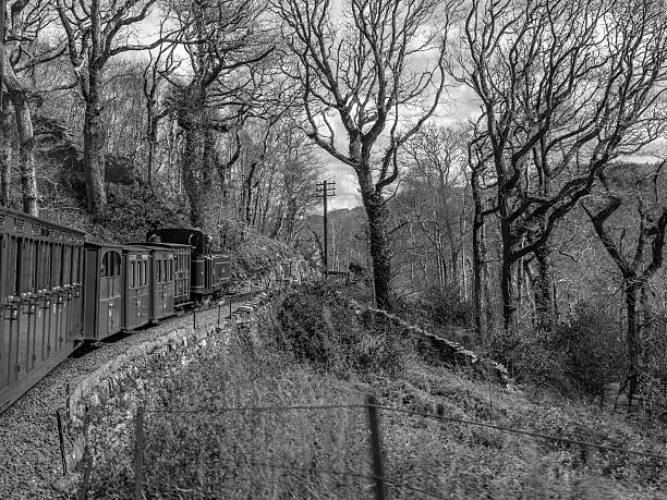 chemin de fer de ffestiniog-taliesin iii (monochrome) - ffestiniog railway photos et images de collection