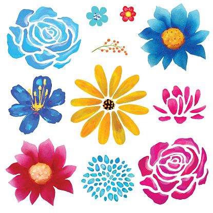 Hand painted floral watercolor set, different flowers isolated on a white background. Art design logo elements, clip art - vector artwork