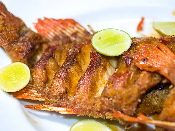 Grilled Red Snapper on white plate with some pieces of lemon on plate in Mirissa restaurant on south of Sri Lanka. At time for diner you can choose one fish from open fish stand with cattle fish, prawns, mullet, tuna, red snapper, lobsters and many more local different fish from Indian Ocean.