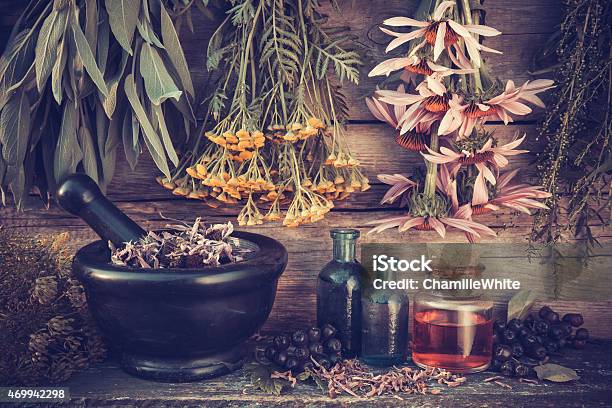 Healing Herbs Bunches Black Mortar And Oil Bottles Stock Photo - Download Image Now