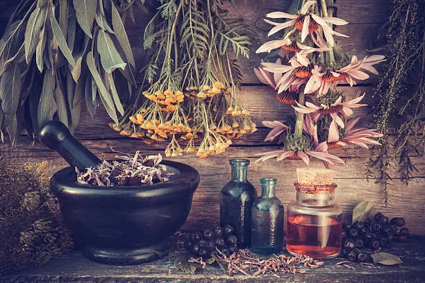 Vintage stylized photo of  healing herbs bunches, black mortar and oil bottles, herbal medicine.