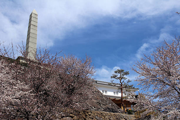Kofu Castle stock photo