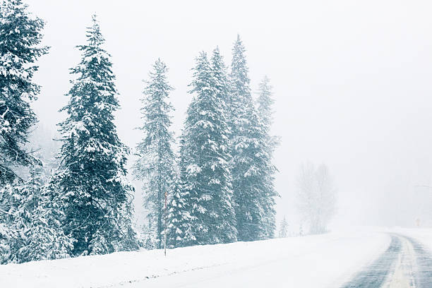 neige de l'hiver glacial panier & autoroute drivng conditions générales - drivng photos et images de collection