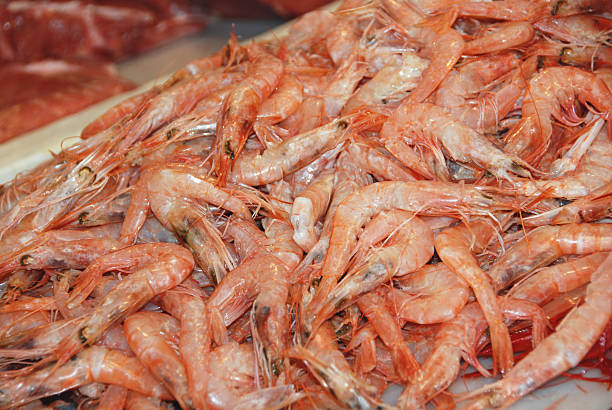 istock Boiled shrips laying on a fish market 469944163