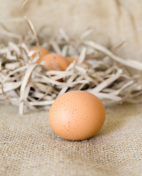 istock The egg on streamers paper and sack 469946273