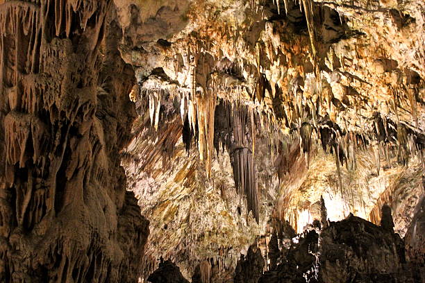 stalactites - postojna 뉴스 사진 이미지