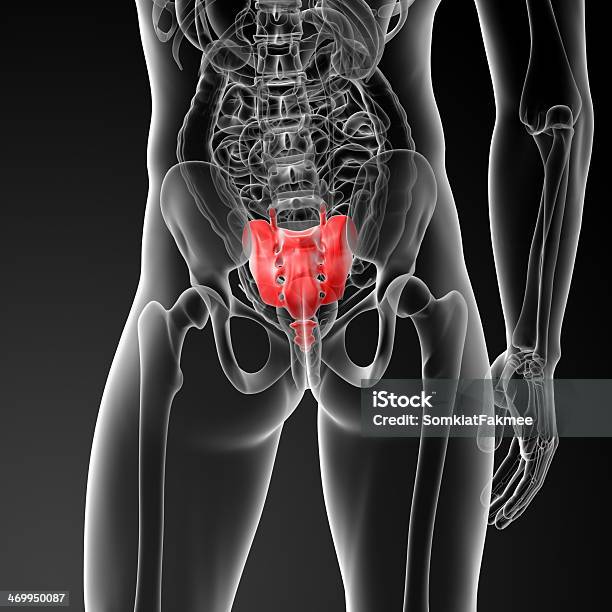 3 D Renderowania Ilustracja Krzyż Kości - zdjęcia stockowe i więcej obrazów Anatomia człowieka - Anatomia człowieka, Bez koszulki, Biologia - Nauka