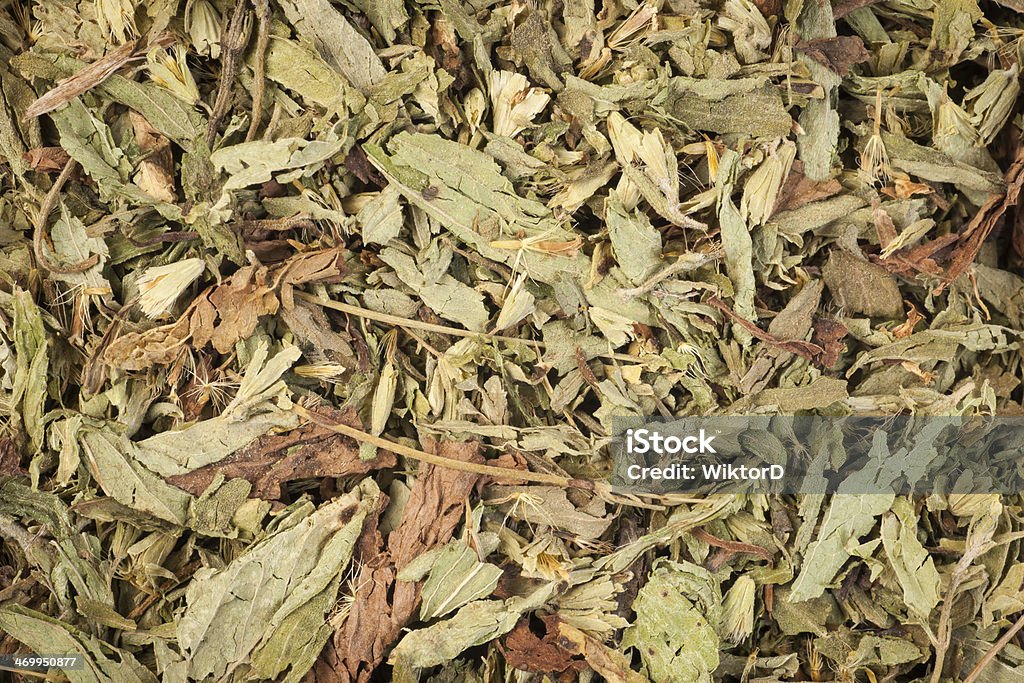 Dried stevia leaves Affectionate Stock Photo