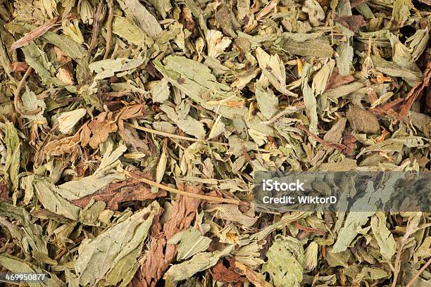 Dried Stevia Leaves Stock Photo - Download Image Now - Affectionate, Cut Out, Dieting