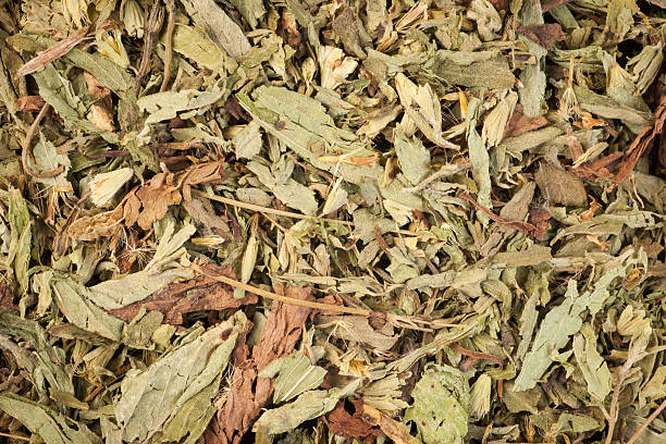 stevia folhas secas - glucose herb leaf dried plant imagens e fotografias de stock