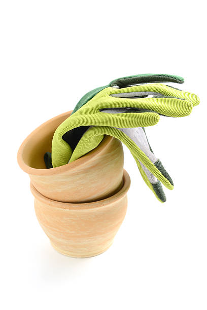 istock two terracotta flower pots with garden gloves 469952157