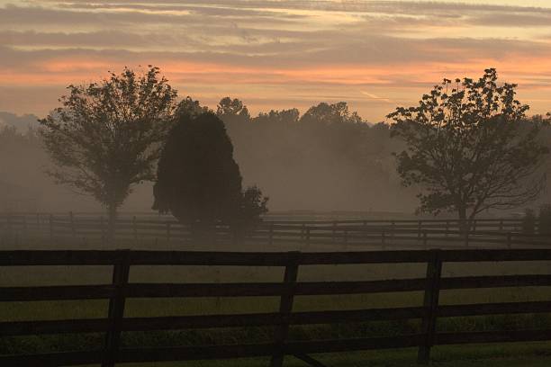 istock Foggy morning on a farm. 469952986
