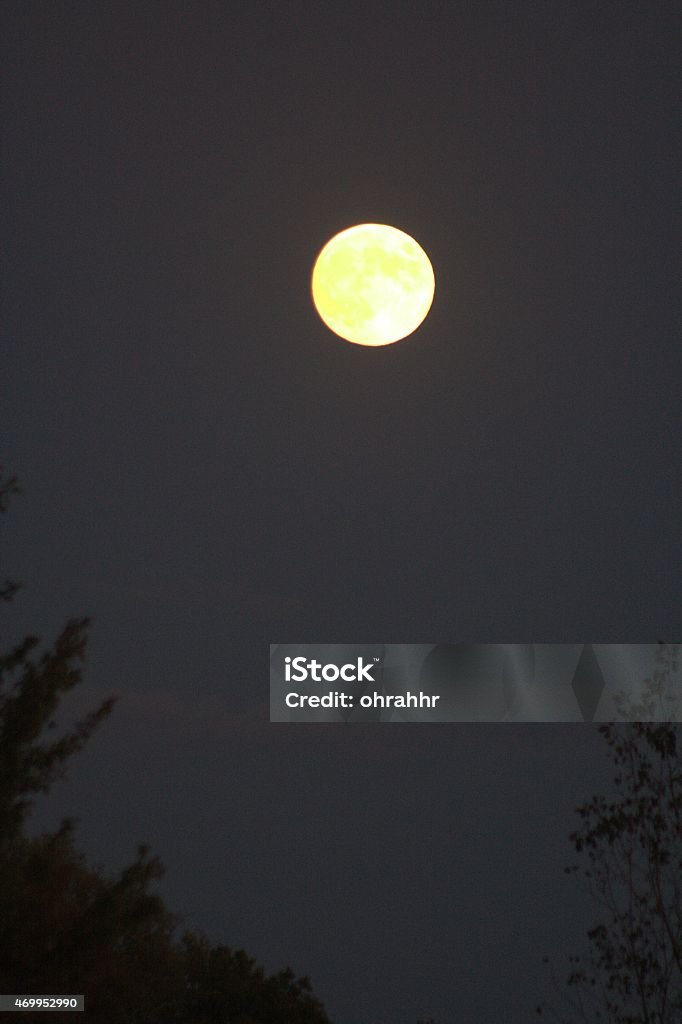 Niedrig hängende moon. - Lizenzfrei 2015 Stock-Foto