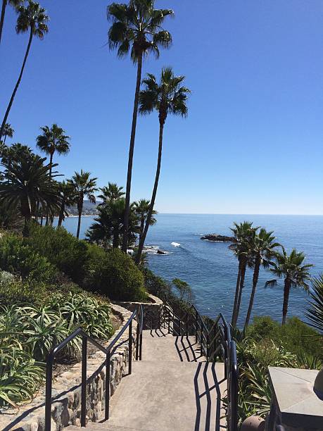 istock Stairway To Laguna Beach, California 469953108