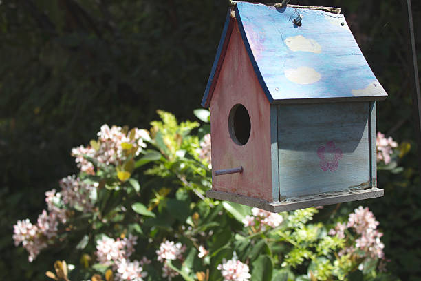 istock Garden Bird House 469953160