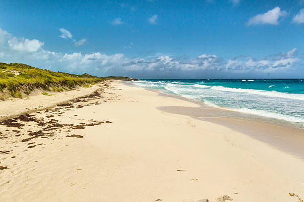 istock Caribbean landscape - Stocking Island - Bahamas 469953310