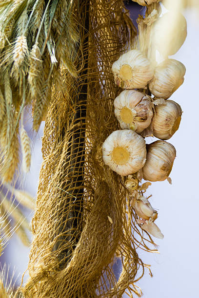 string de alho juntar ao ar livre. alimentos saudáveis. - garlic hanging string vegetable - fotografias e filmes do acervo