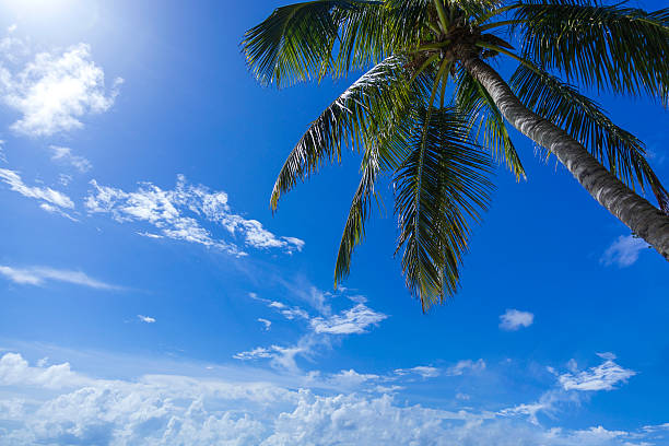 istock Maldives - Journey to Paradise 469957827