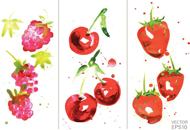 Vector illustration of watercolor berry set