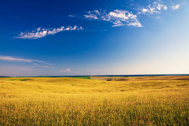 istock Beatiful morning green field with blue heaven 469958244