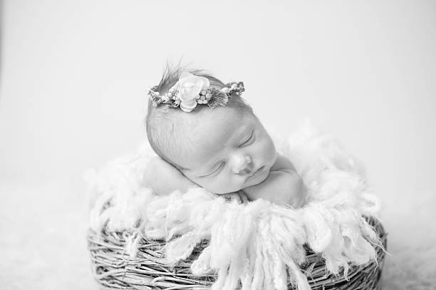 спящая девушка новорожденных - baby animal nest newborn lying down стоковые фото и изображения
