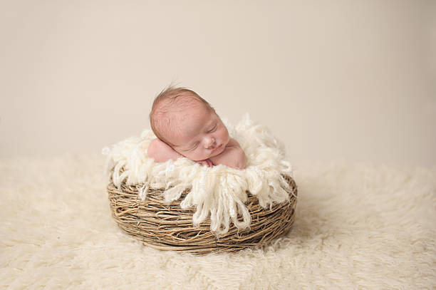 спящая девушка новорожденных - baby animal nest newborn lying down стоковые фото и изображения