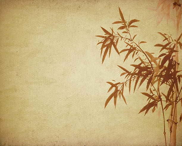 istock bamboo on old grunge paper texture background 469961956