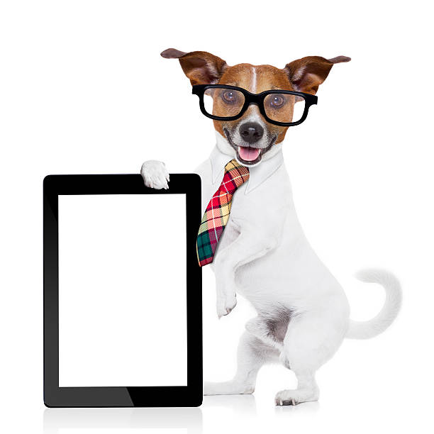 Dog holding a tablet dressed as a businessman