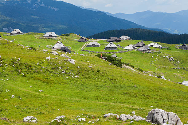 istock Velika Planina, Slovenia 469963677