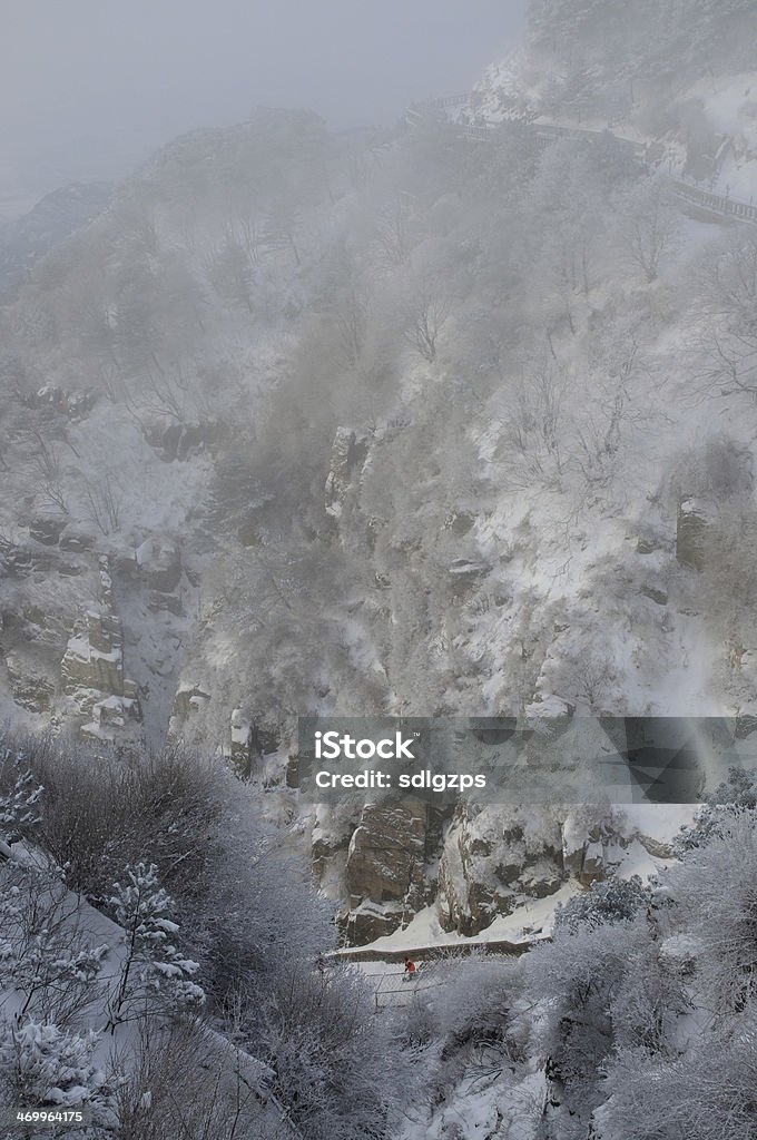 Taishan nella neve - Foto stock royalty-free di Adulto