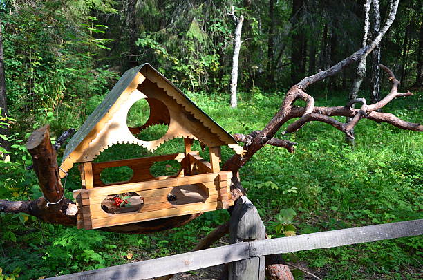 Feeders for the birds in the forest