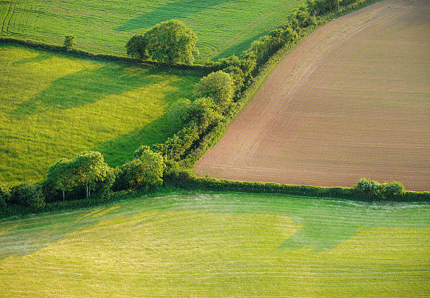 Arable fields from the air An aerial view of arable fields and hedges at sunset, in Somerset, England. patchwork landscape stock pictures, royalty-free photos & images