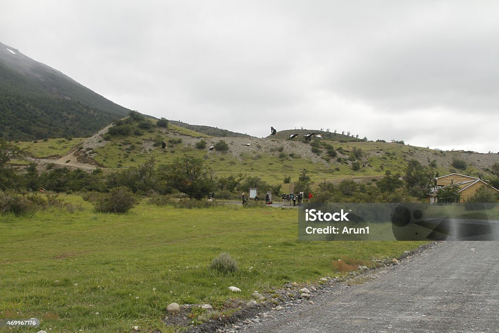 W Trek on Torres Del Paine Park 2015 Stock Photo