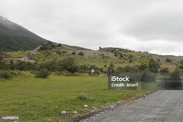 W Trek On Torres Del Paine Park Stock Photo - Download Image Now - 2015, Chile, Dirt Road