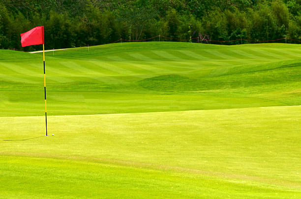 istock golf ball on green near to hole 469969262