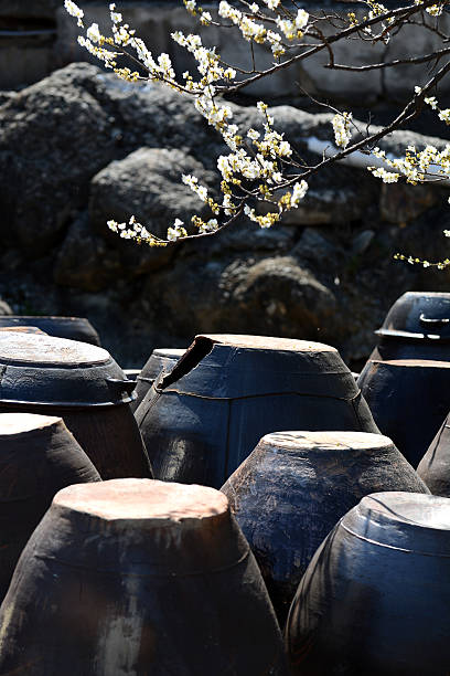istock Blooming plum trees and traditional pottery 469969642