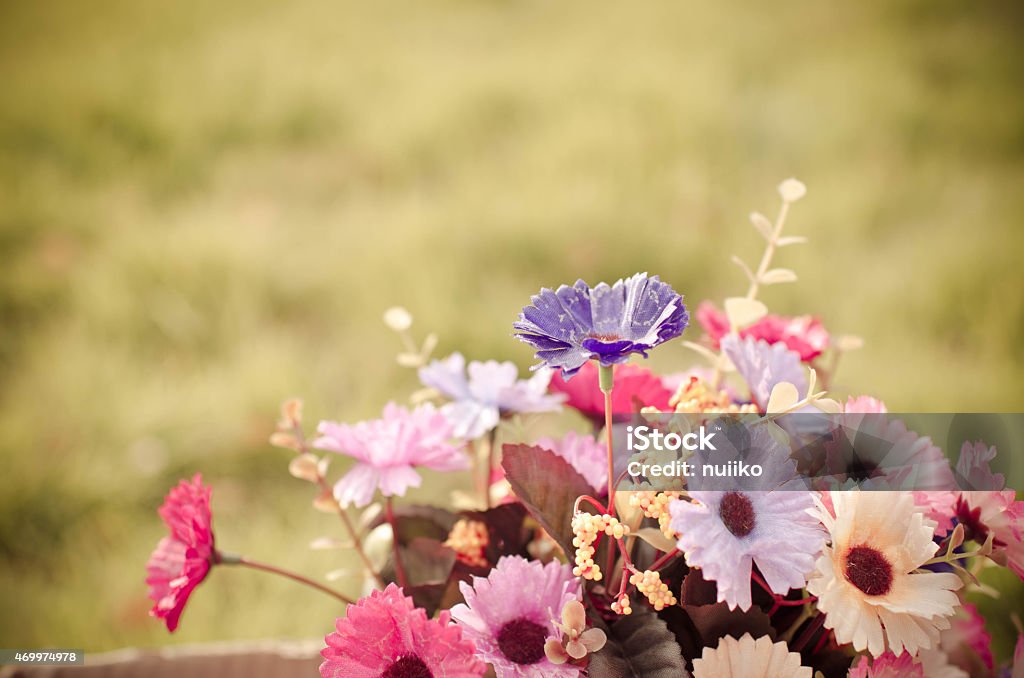Bear and flower bouquet in brown box on green grass Bear and flower bouquet in brown box on green grass with natural light. 2015 Stock Photo