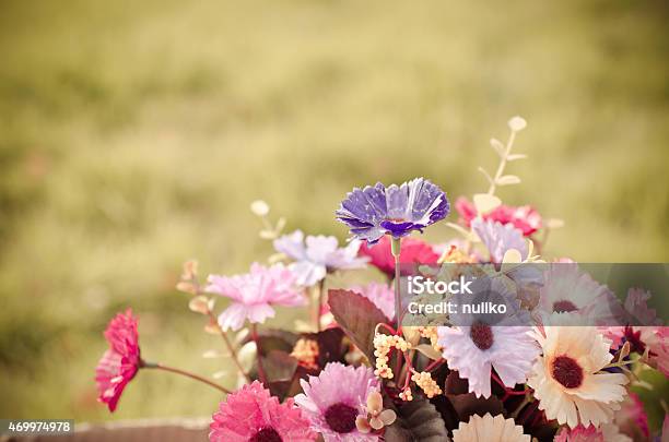 Bear And Flower Bouquet In Brown Box On Green Grass Stock Photo - Download Image Now