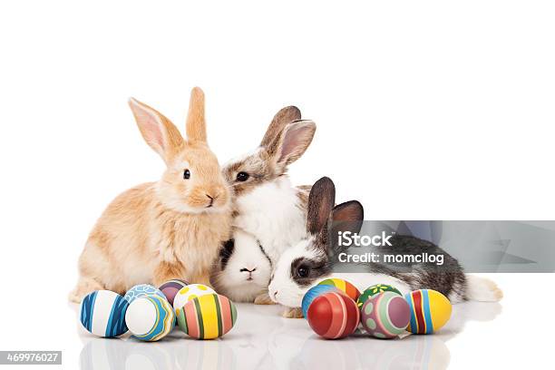 Photo libre de droit de Lapins De Pâques banque d'images et plus d'images libres de droit de Animaux de compagnie - Animaux de compagnie, Animaux domestiques, Apprivoisé