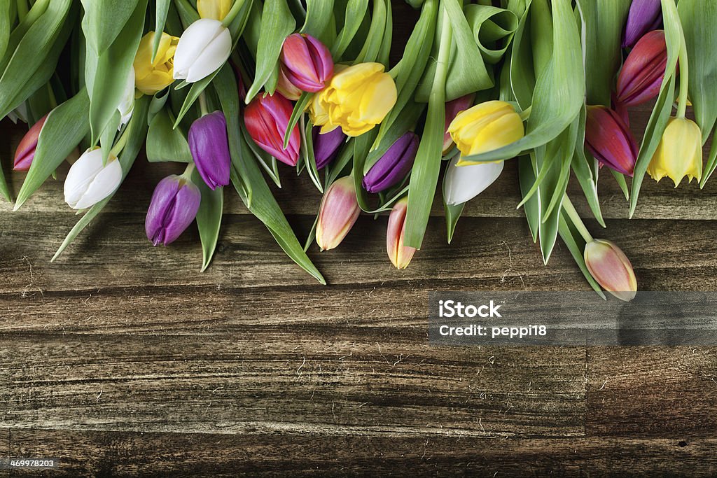 tulips on wooden board tulips on old wooden board with copy space for your text Bouquet Stock Photo