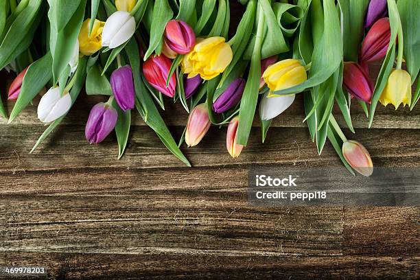 Tulips On Wooden Board Stock Photo - Download Image Now - Bouquet, Chalkboard - Visual Aid, Design