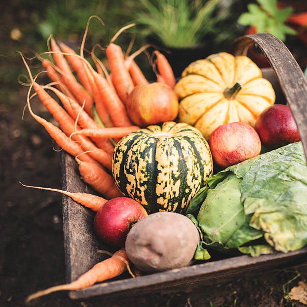 istock basket of raw vegetables 469978793