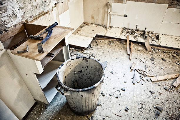 istock Home Renovations - Tear Out 469979257